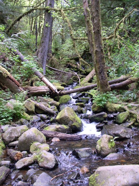 5.5.06 Eagle Creek 022 